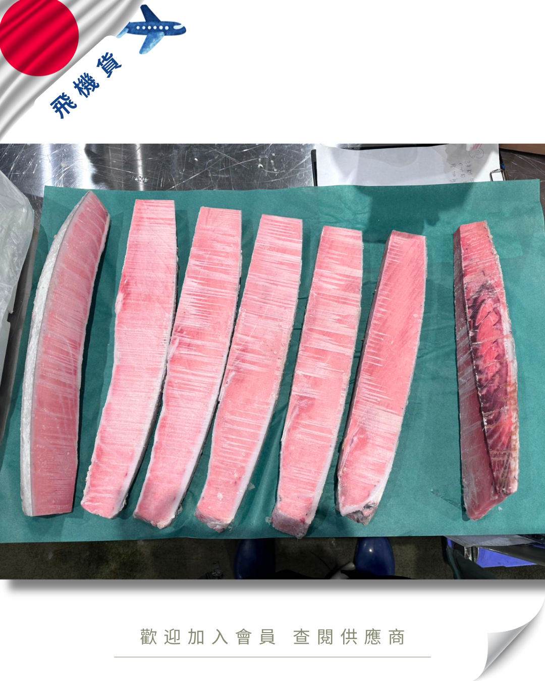 E101 - 日本 吞拿魚 本鮪 拖羅 (含蛇腹位置) 原set 約7件 5kg up