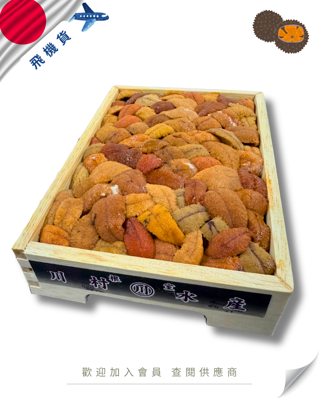 E101 - 日本 川村水產 馬糞海膽 亂 250g