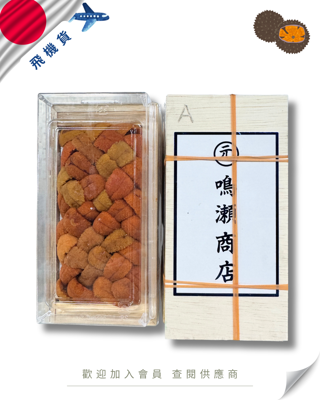 E101 - 日本 嗚瀨 馬糞海膽 亂 100g