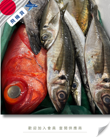 E101 - 日本 鮮魚魚箱 鮮魚セット 4kg / 7kg