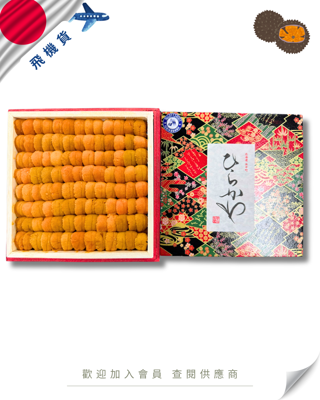 E101 - 日本 平川水產 北海道 馬糞海膽 400g (花箱)