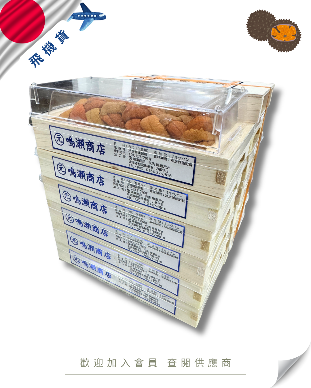 E101 - 日本 嗚瀨 馬糞海膽 亂 100g