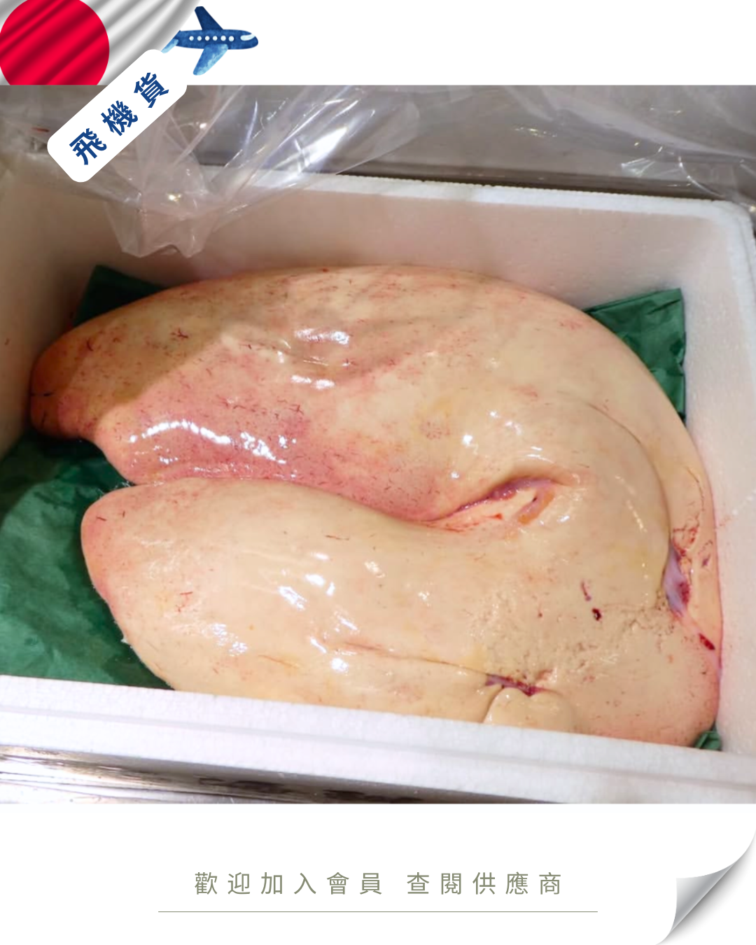 E101 - 日本 鮟鱇魚 アンコウ 3-8kg