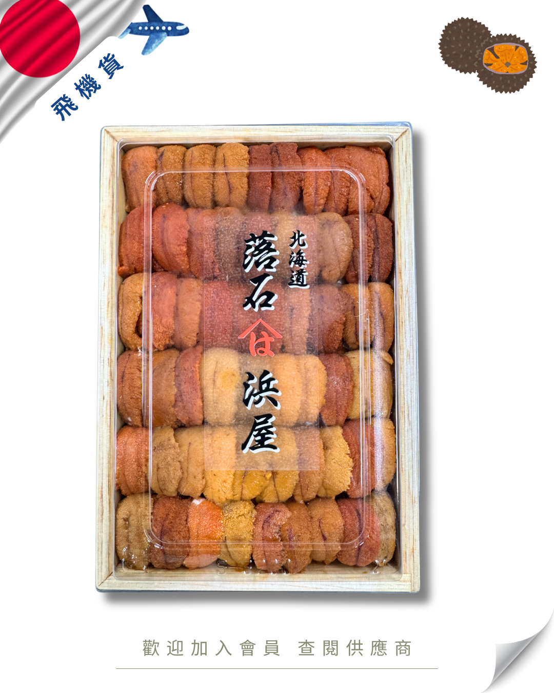 E101 - 日本 浜屋 馬糞海膽 250g