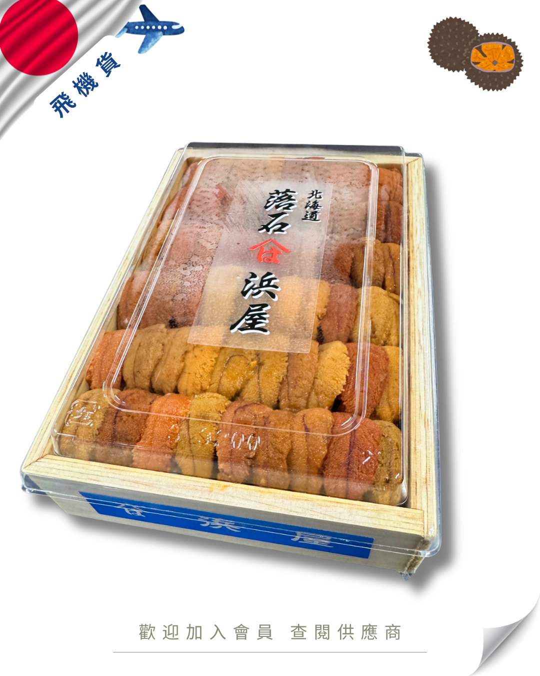 E101 - 日本 浜屋 馬糞海膽 250g