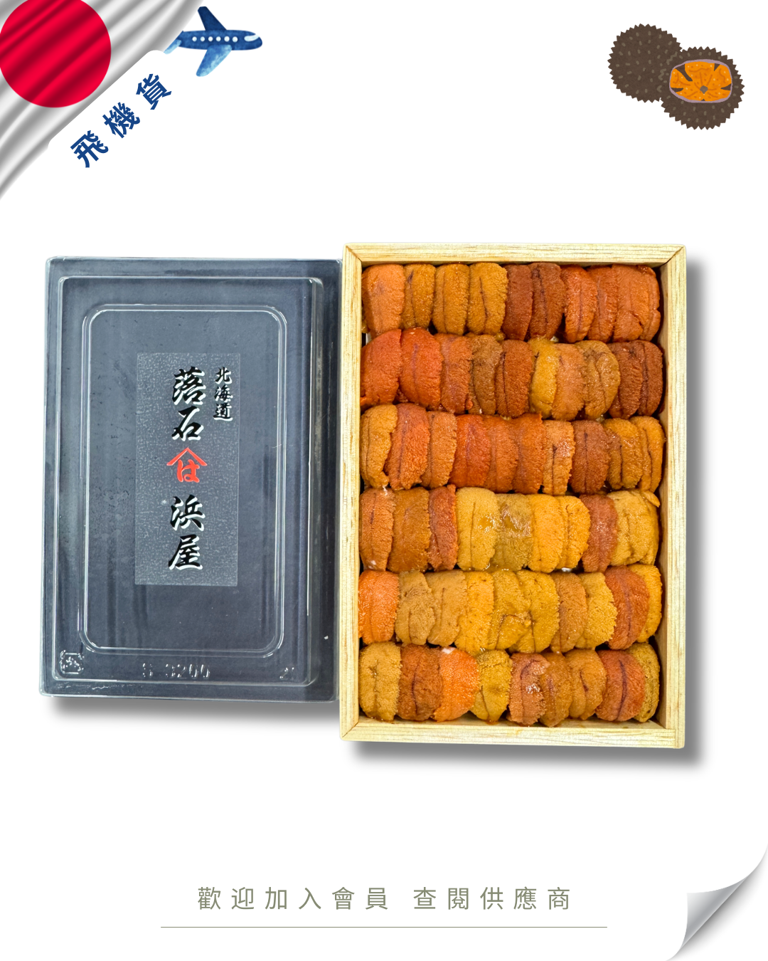 E101 - 日本 浜屋 馬糞海膽 250g