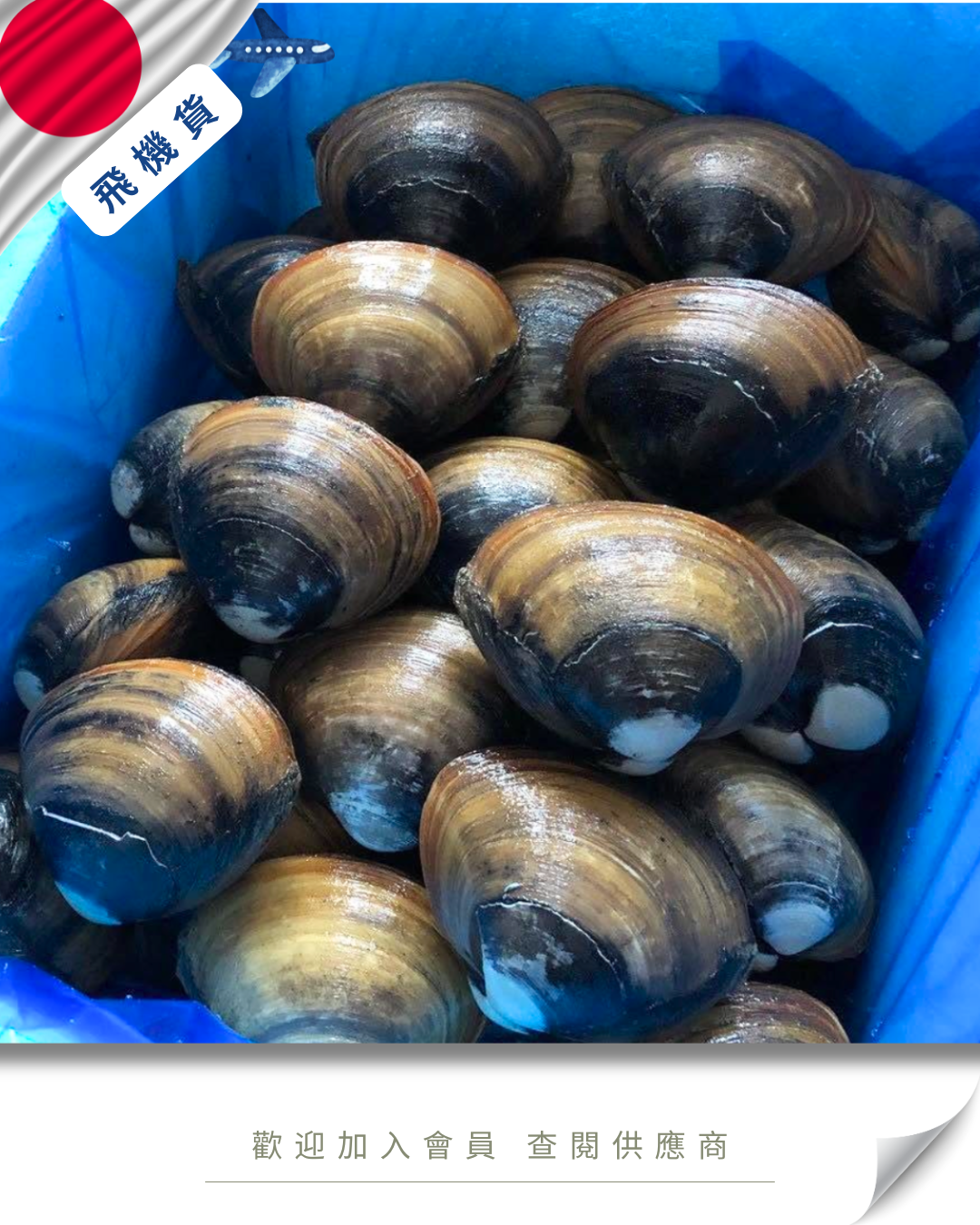 E101 - 日本 北寄貝 ホッキ貝 300g up