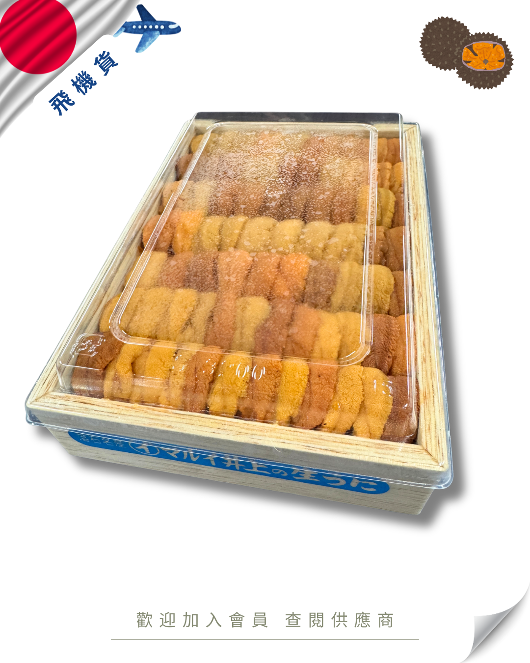 E101 - 日本 井上水產 馬糞海膽 250g