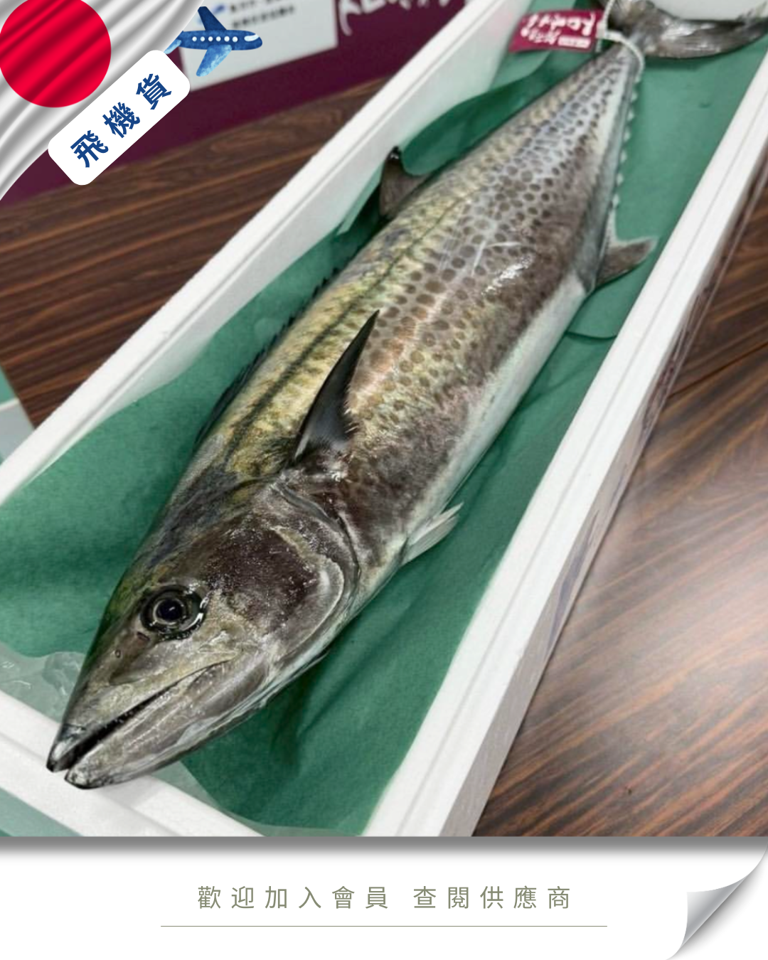 E101 - 日本 鰆魚 サワラ 3-5kg
