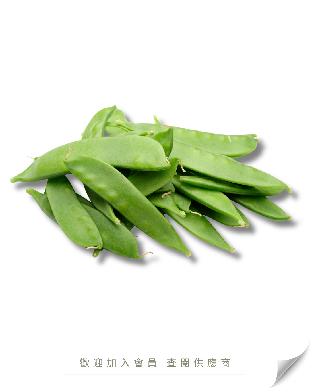 B103 - 荷蘭豆