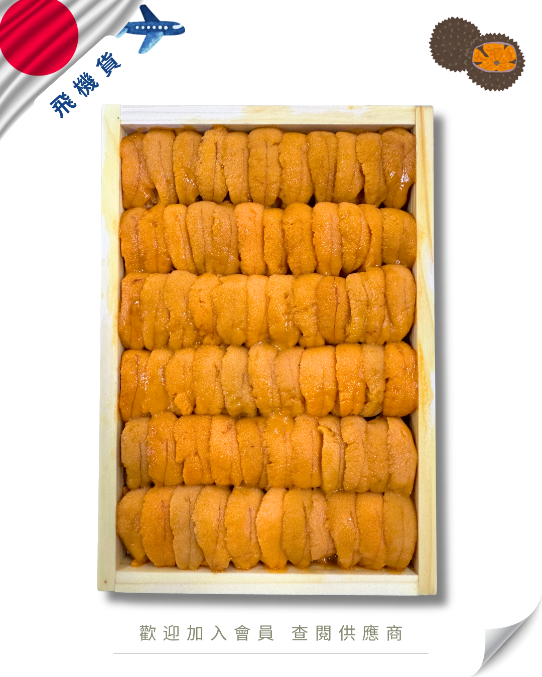 E101 - 日本 村上水產 馬糞海膽 250g