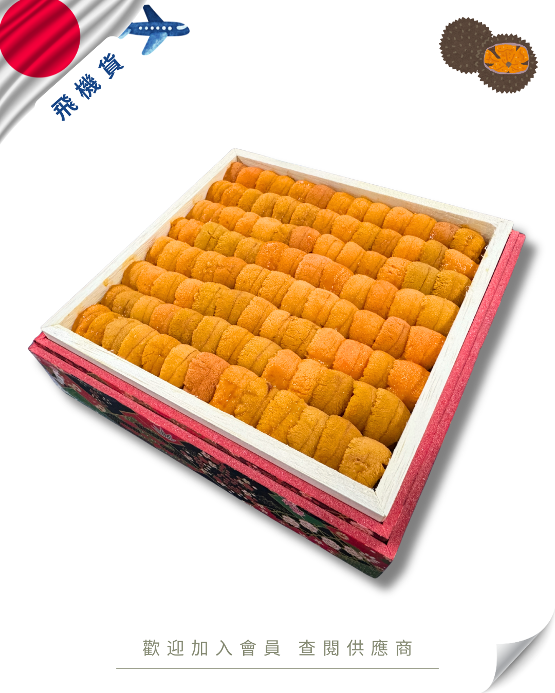 E101 - 日本 平川水產 北海道 馬糞海膽 400g (花箱)