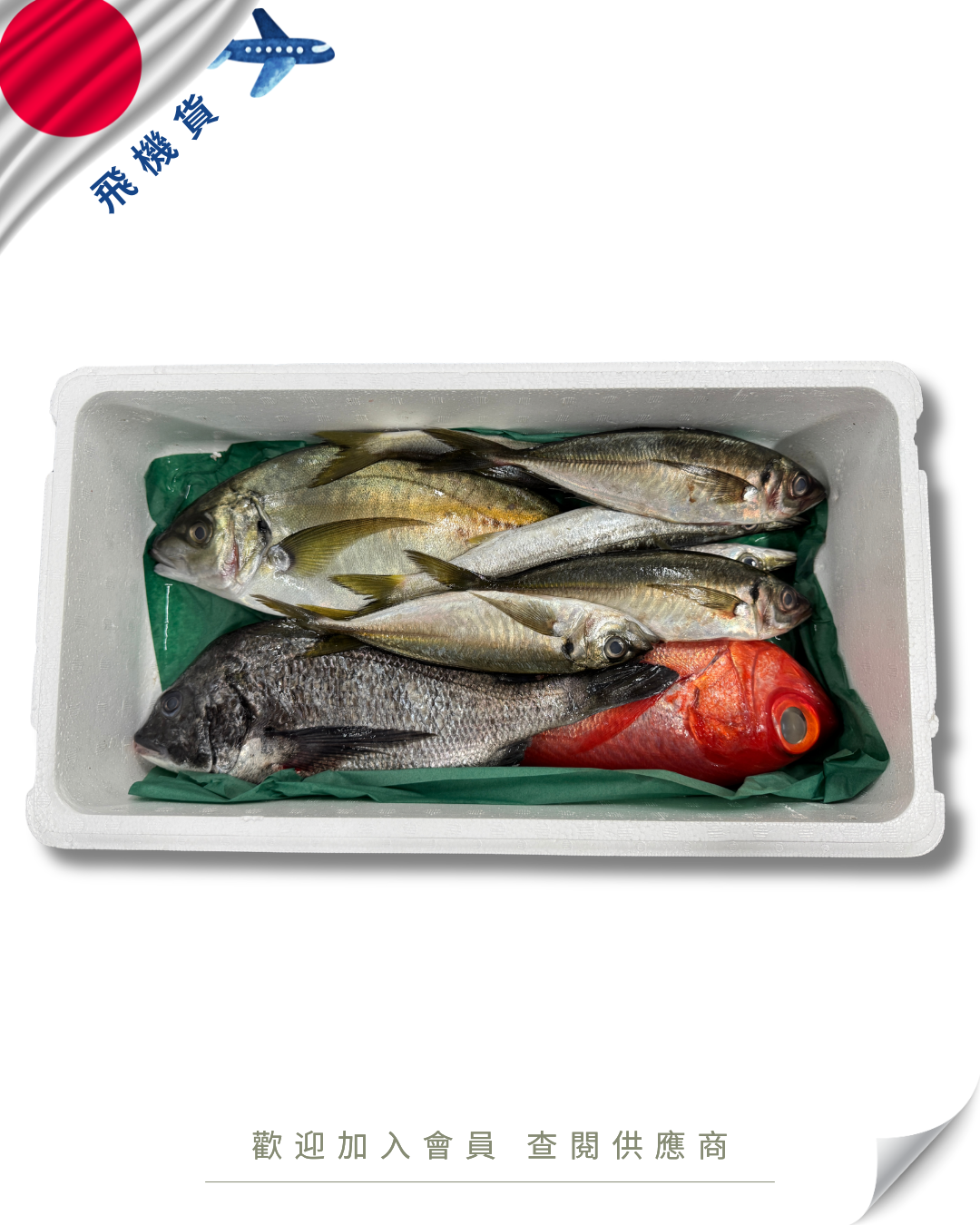 E101 - 日本 鮮魚魚箱 鮮魚セット 4kg / 7kg