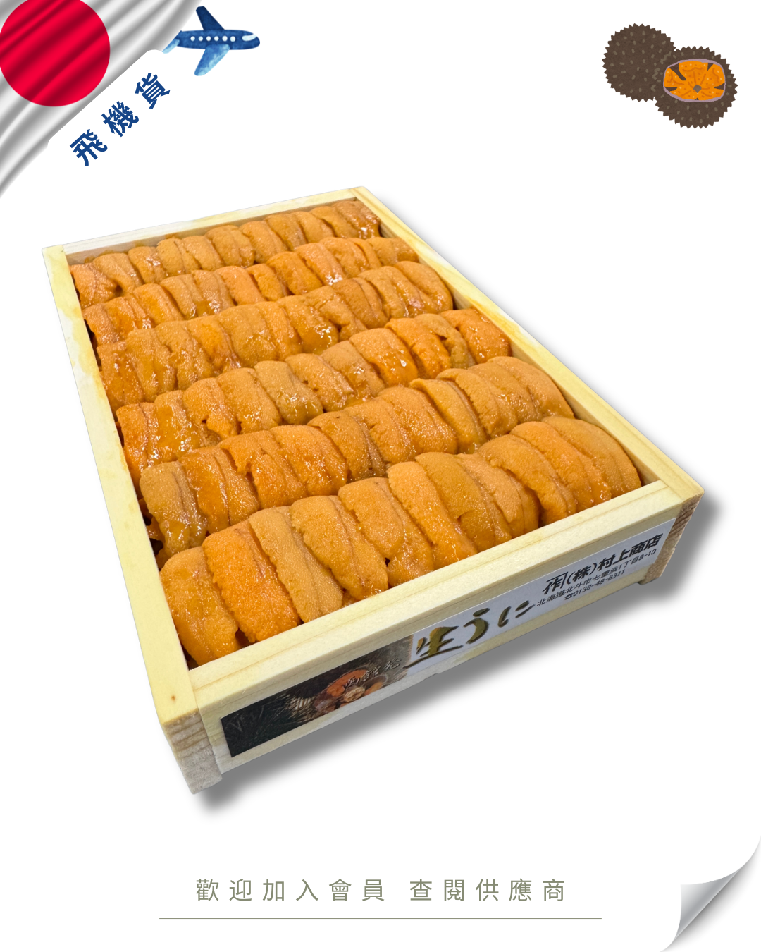 E101 - 日本 村上水產 馬糞海膽 250g