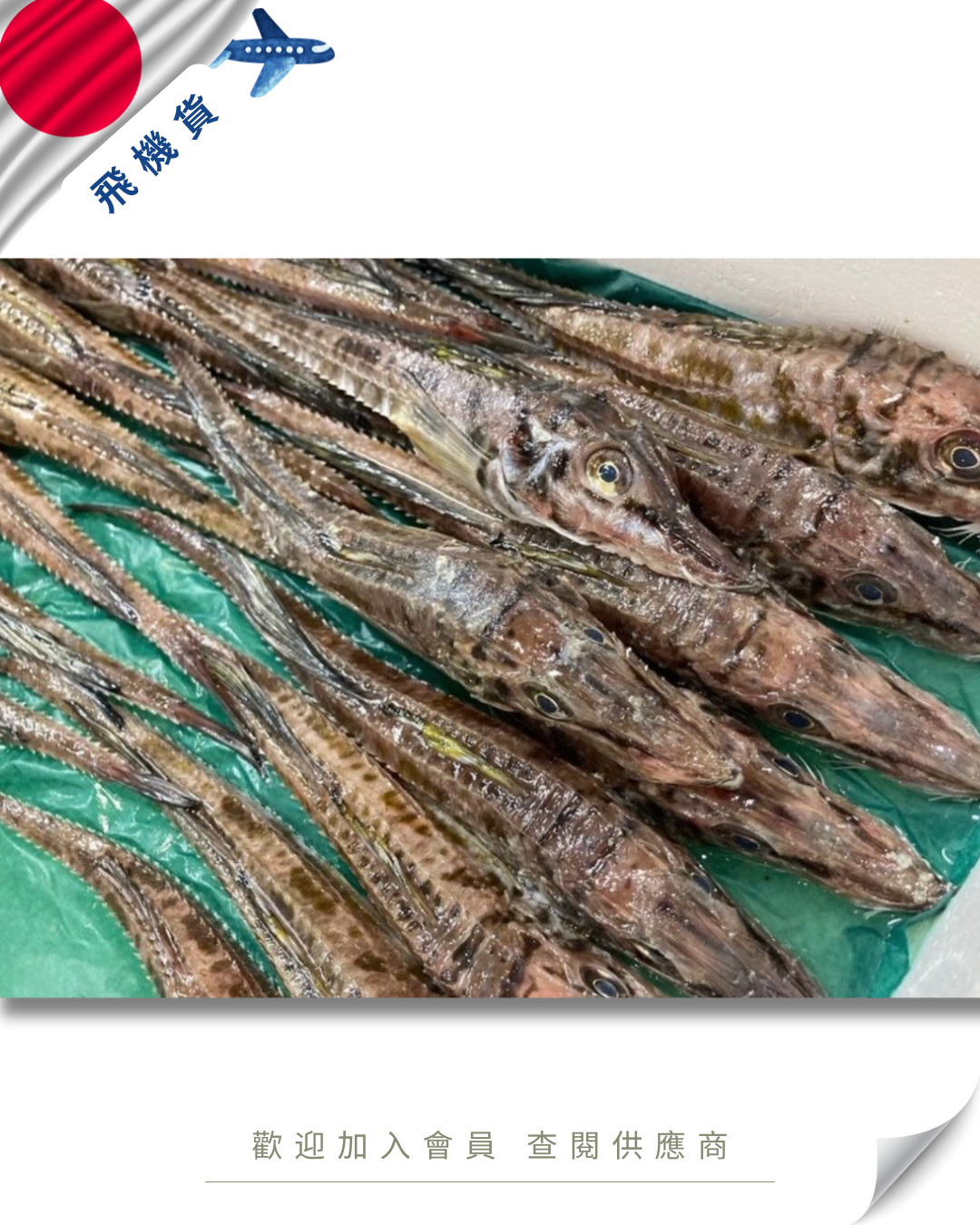 E101 - 日本 八角魚 ハッカク 600-700g