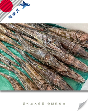 E101 - 日本 八角魚 ハッカク 600-700g
