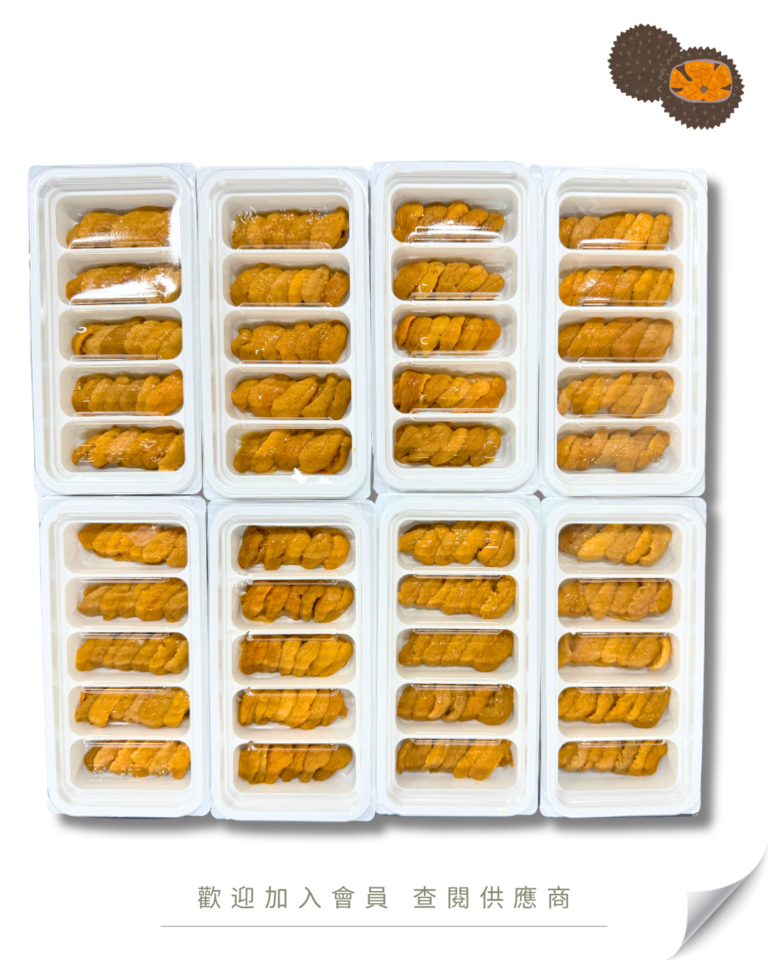 H103 - 韓國原料 紫海膽 (5格膠盒) 70g