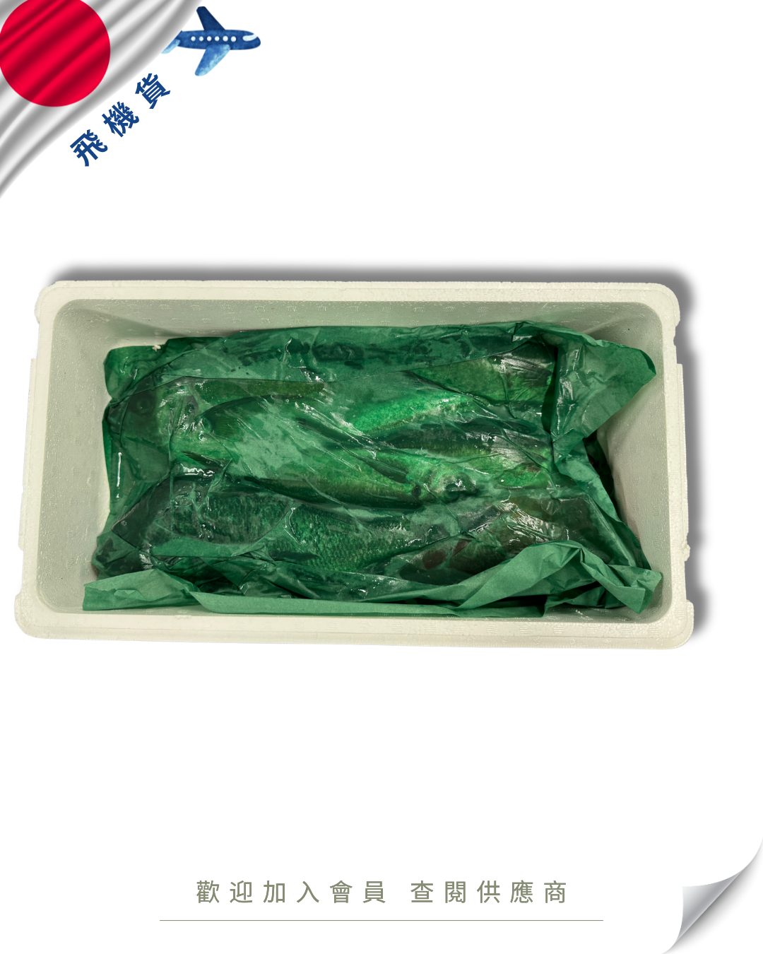 E101 - 日本 鮮魚魚箱 鮮魚セット 4kg / 7kg