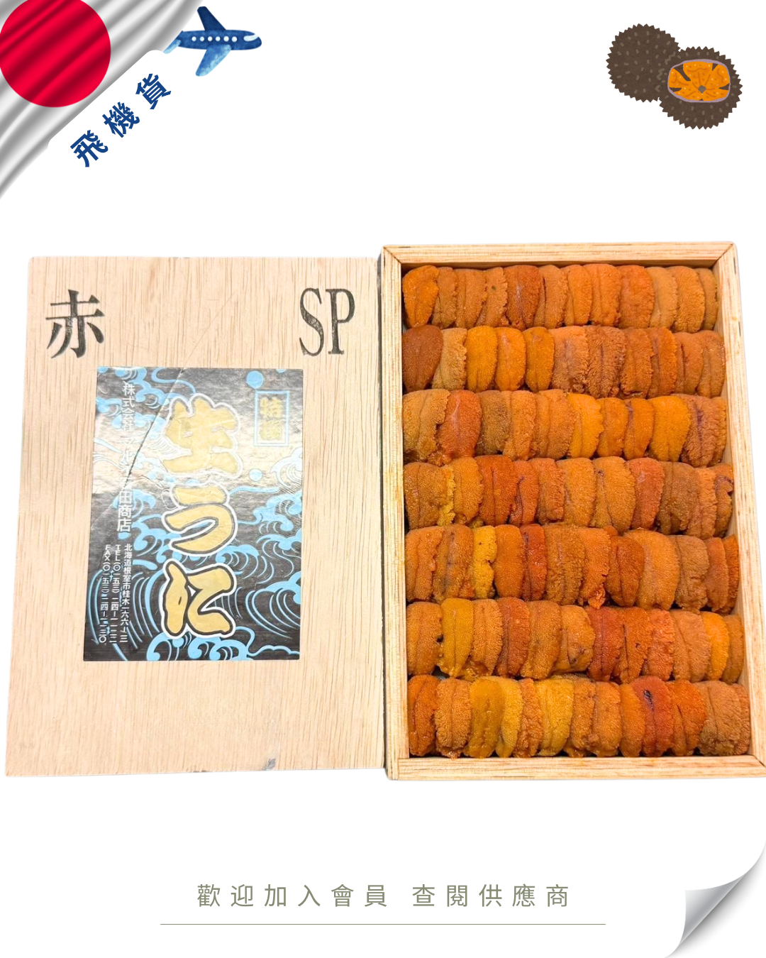 E101 - 日本 石田商店 馬糞海膽 250g