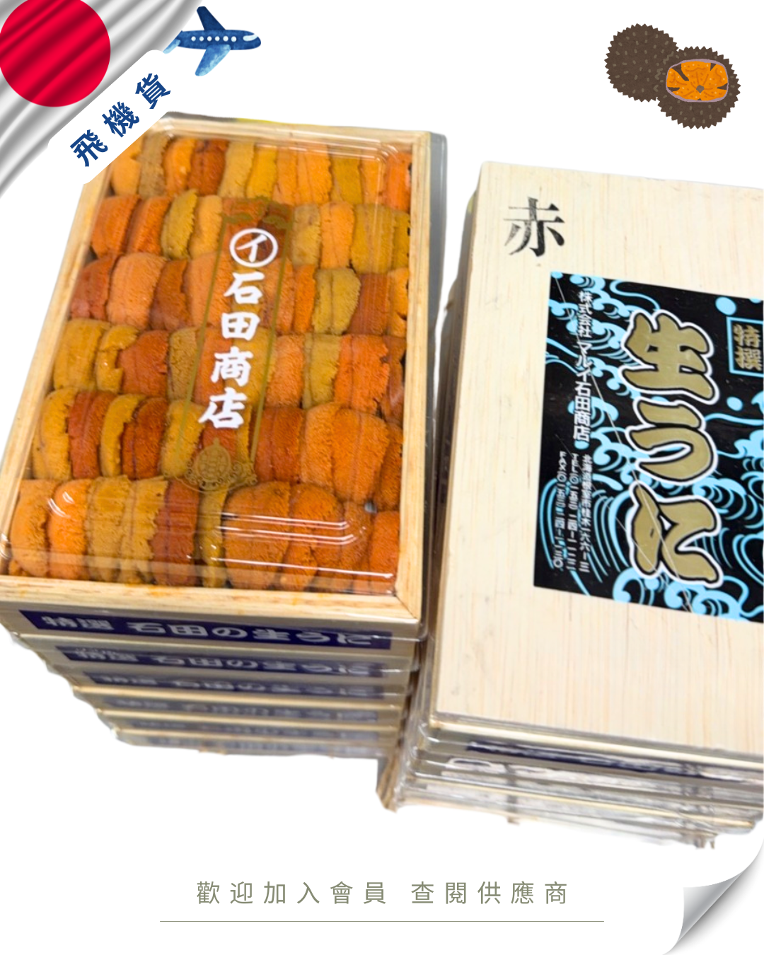 E101 - 日本 石田商店 馬糞海膽 250g