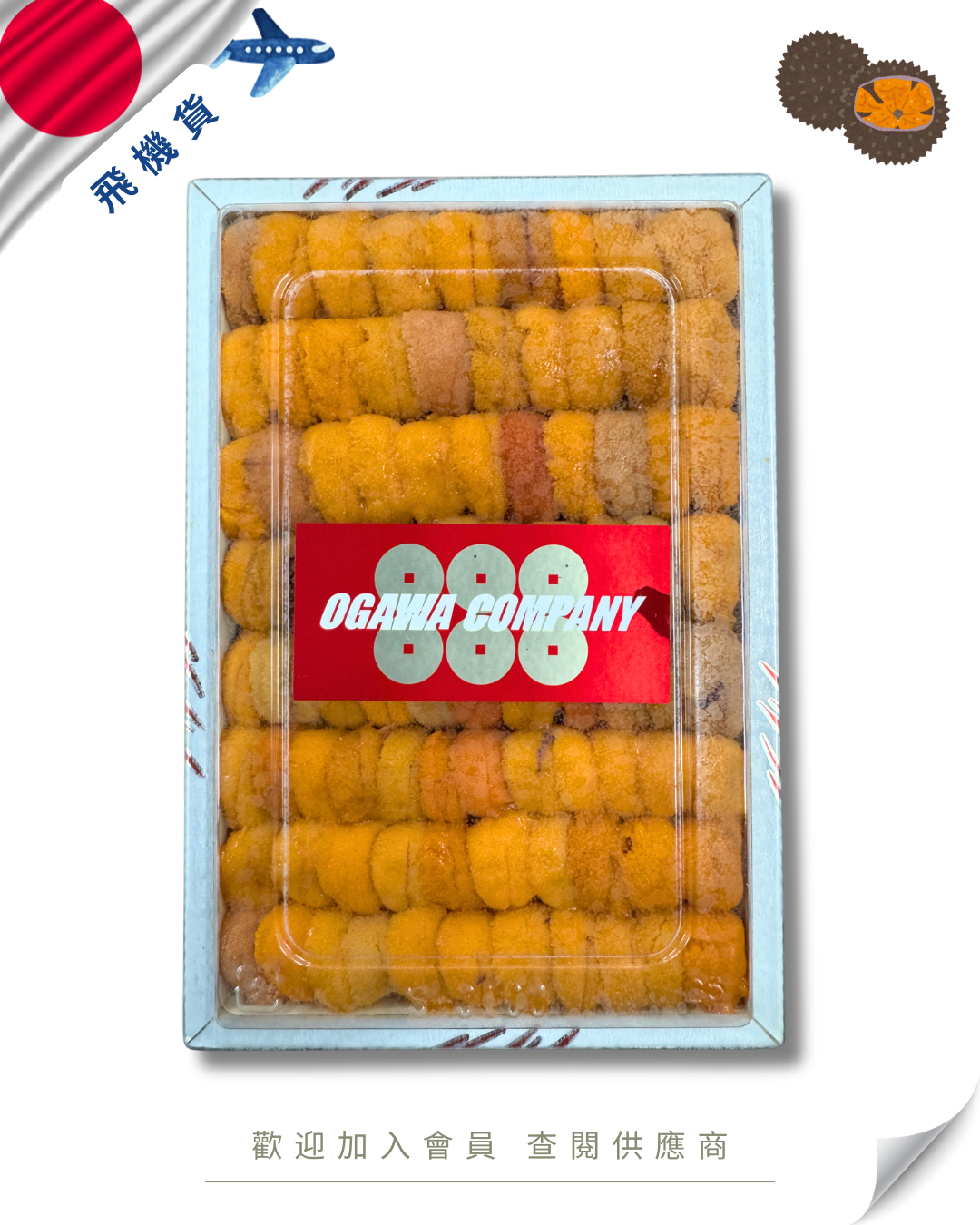 E101 - 日本 霧多布水產 カンパニー 888 馬糞海膽 250g