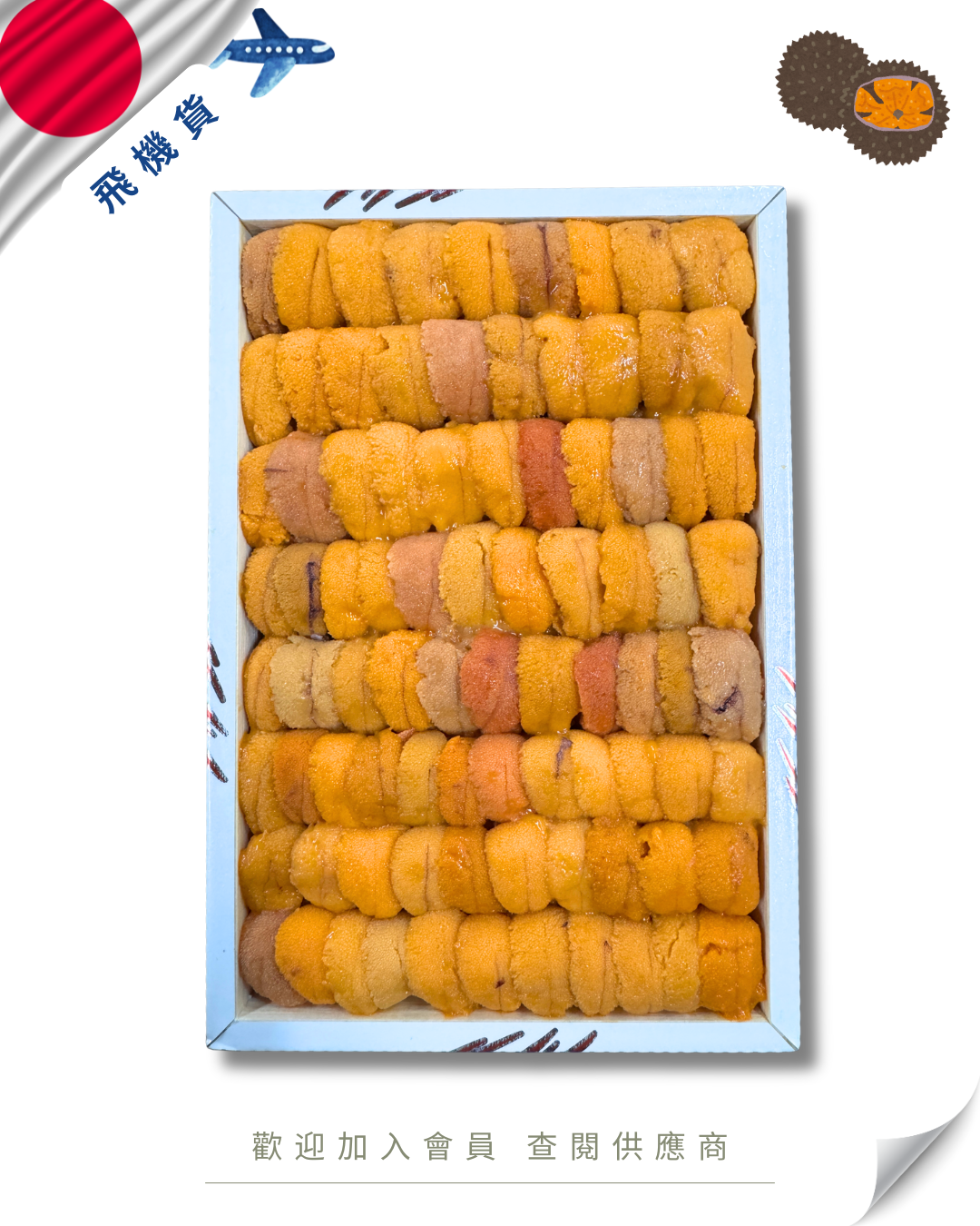 E101 - 日本 霧多布水產 カンパニー 888 馬糞海膽 250g
