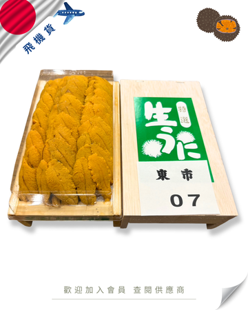 E101 - 日本 橘水產 白海膽 300g (拍賣級-帶番號)