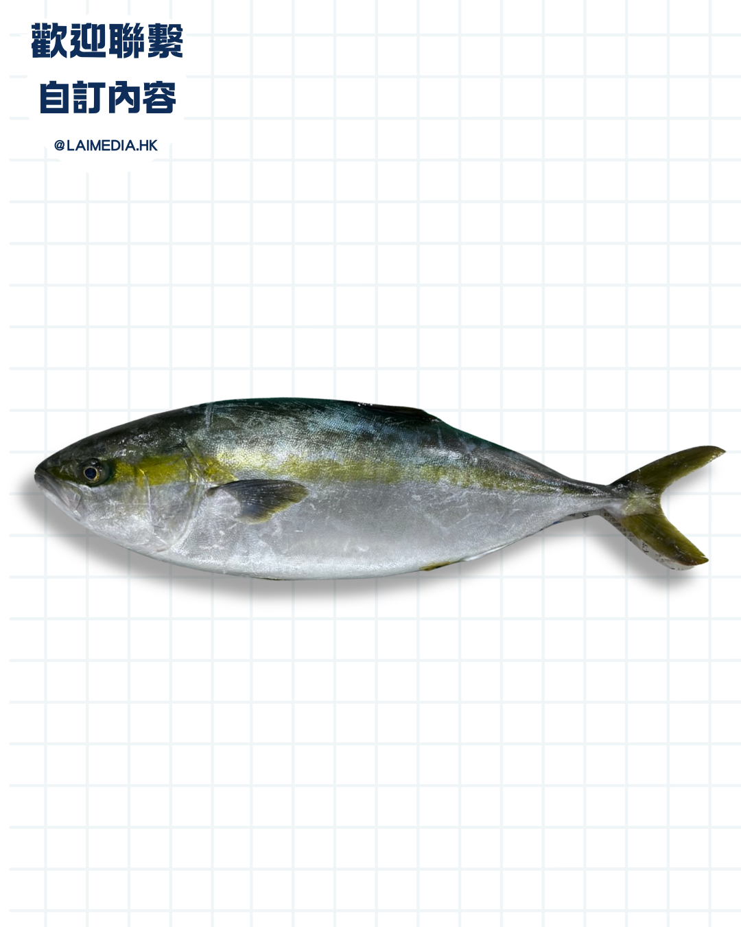 ET104-自訂模板內容